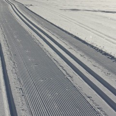Conditions pour le ski nordique