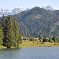 Le 28 mai : Inalpe à Morgins