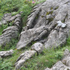 Séisme mineur dans le massif du Chablais-Giffre