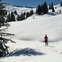 Randonnée à ski à Bassachaux
