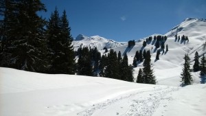 Rando ski Bassachaux