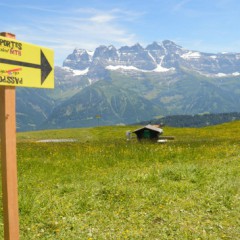 Les Grandes Dates de l’été – Morgins